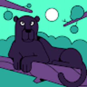 Meet your Posher, Hakkoum